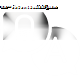 qna
